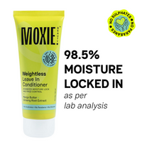 https://cdn.shopify.com/s/files/1/1857/6931/files/DiEdVzB8Dg.png?v=1727439726