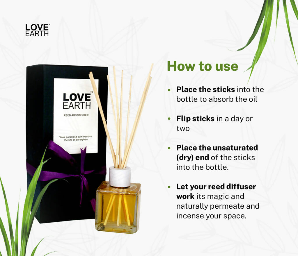 https://cdn.shopify.com/s/files/1/1857/6931/products/DiFGvdz3ob.jpg?v=1665840601