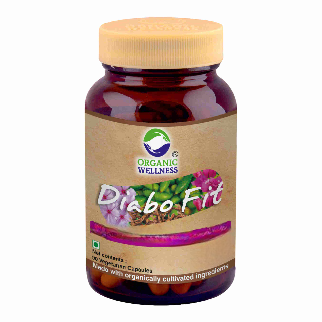 https://cdn.shopify.com/s/files/1/1857/6931/files/Diabo-fit-f-Photoroom.png?v=1772184942