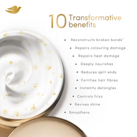 https://cdn.shopify.com/s/files/1/1857/6931/files/DiiGT8xv08.png?v=1767768907