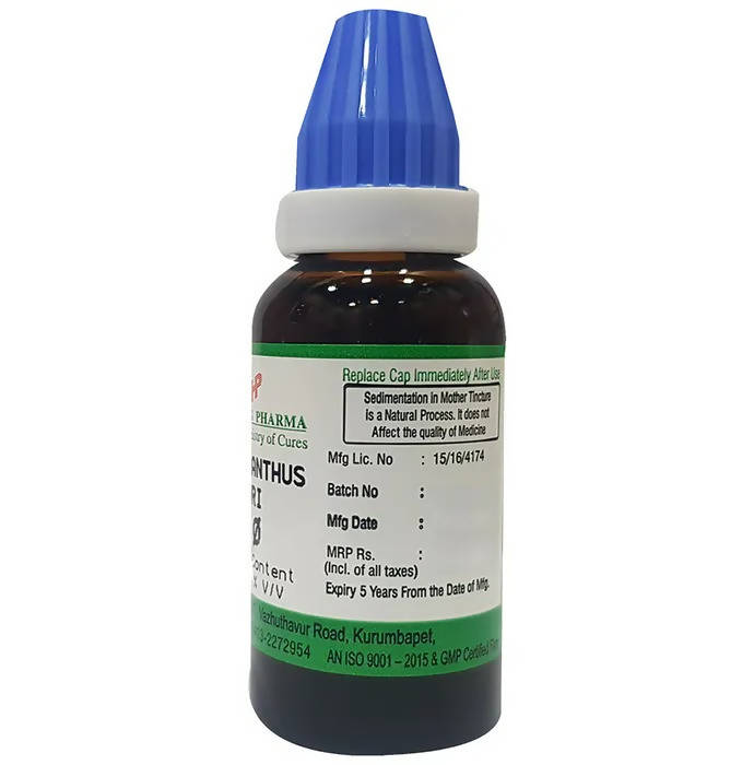 https://cdn.shopify.com/s/files/1/1857/6931/products/Dkm8zkCHE4.jpg?v=1660134487