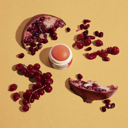 https://cdn.shopify.com/s/files/1/1857/6931/products/DmXXvHyhMw.jpg?v=1629533477
