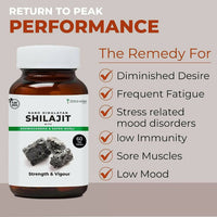 https://cdn.shopify.com/s/files/1/1857/6931/products/DmZLuDSJBo.jpg?v=1693984530