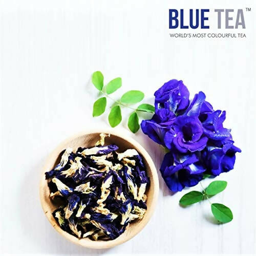 https://cdn.shopify.com/s/files/1/1857/6931/products/DmeKFdnGKC.jpg?v=1667465566