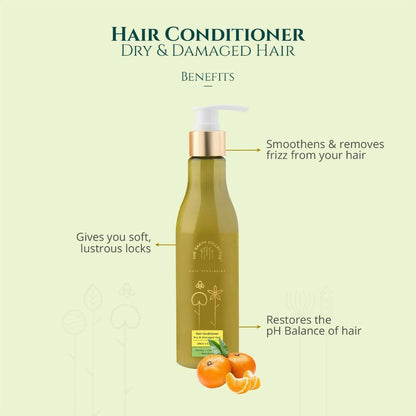 https://cdn.shopify.com/s/files/1/1857/6931/products/DnGa1unKxu.jpg?v=1686546195