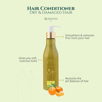 https://cdn.shopify.com/s/files/1/1857/6931/products/DnGa1unKxu.jpg?v=1686546195