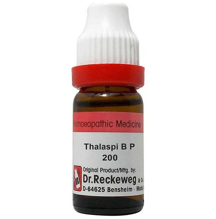 https://cdn.shopify.com/s/files/1/1857/6931/products/DqOIY41CdK.jpg?v=1677931541