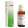 https://cdn.shopify.com/s/files/1/1857/6931/files/Dr.-Reckeweg-R29.jpg?v=1767080682