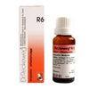 https://cdn.shopify.com/s/files/1/1857/6931/files/Dr.-Reckewerg-R6.jpg?v=1766143782