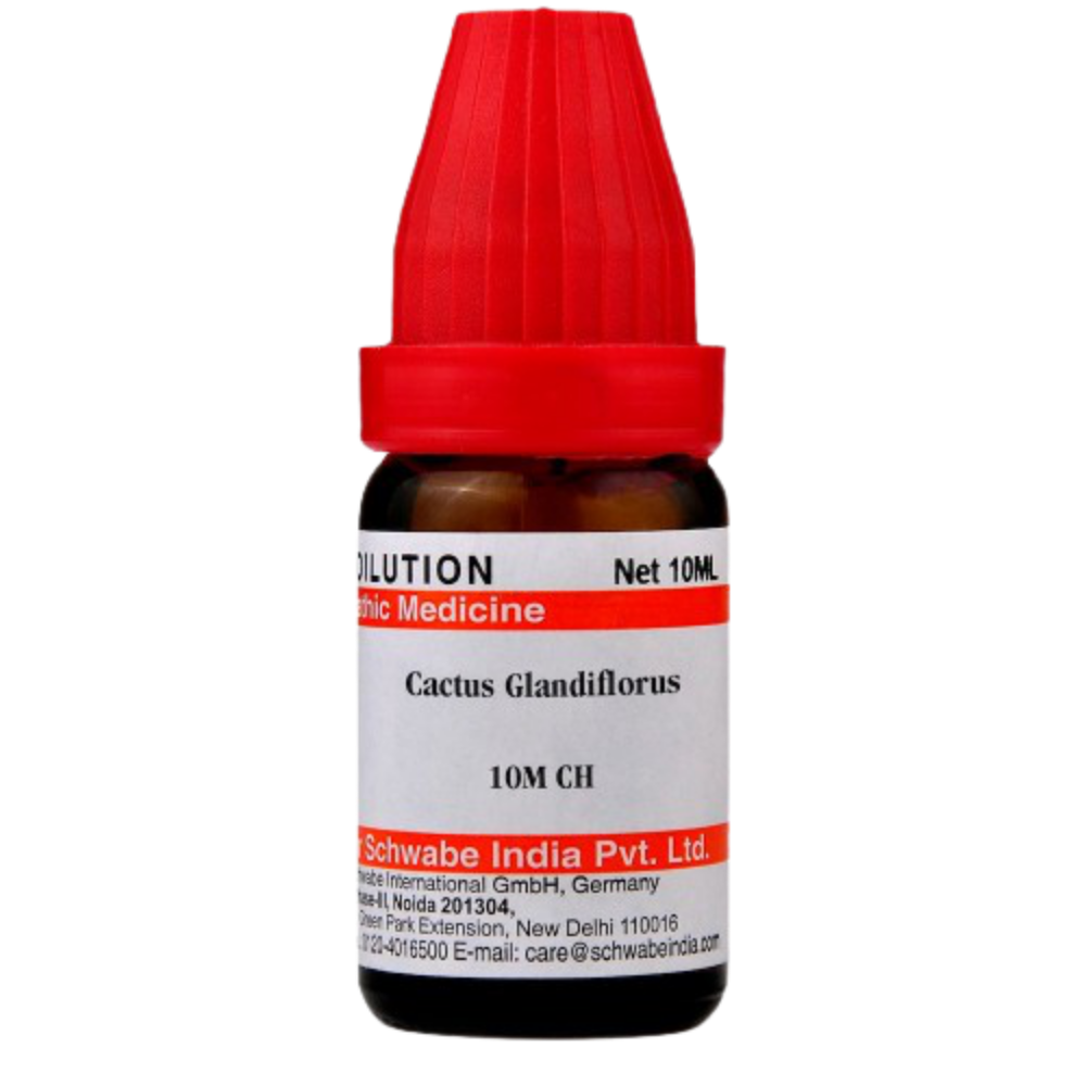 https://cdn.shopify.com/s/files/1/1857/6931/products/Dr.WillmarSchwabeIndiaCactusGrandiflorusDilution2.png?v=1621672931
