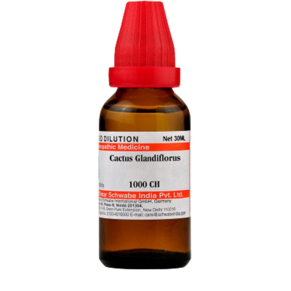 https://cdn.shopify.com/s/files/1/1857/6931/products/Dr.WillmarSchwabeIndiaCactusGrandiflorusDilution3.png?v=1621672921