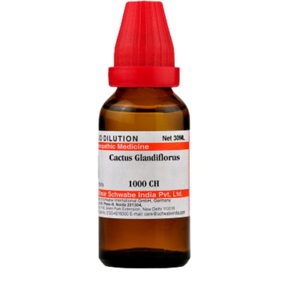 https://cdn.shopify.com/s/files/1/1857/6931/products/Dr.WillmarSchwabeIndiaCactusGrandiflorusDilution3.png?v=1621672921