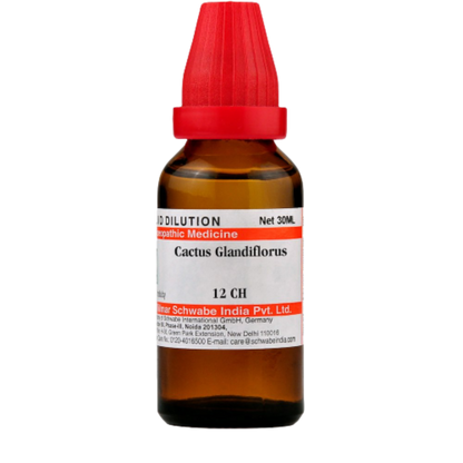 https://cdn.shopify.com/s/files/1/1857/6931/products/Dr.WillmarSchwabeIndiaCactusGrandiflorusDilution6.png?v=1621672895