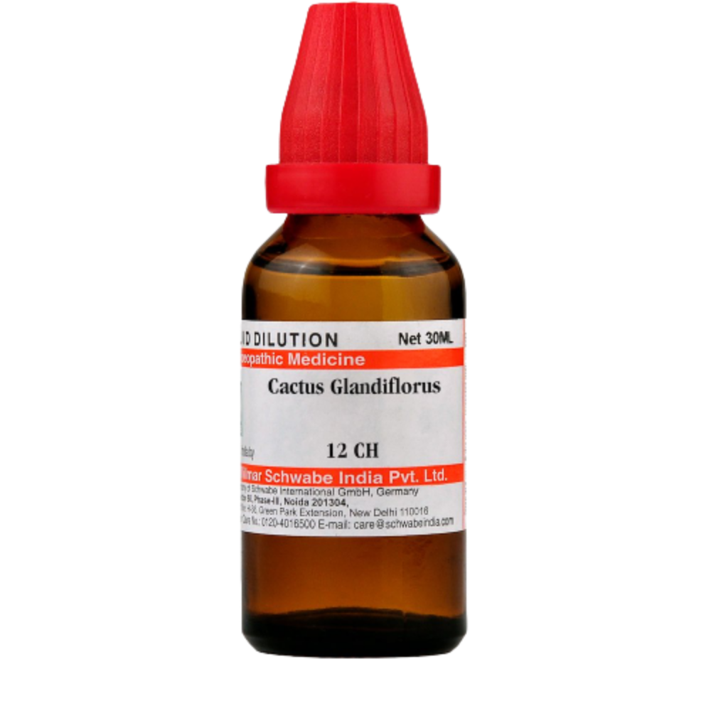 https://cdn.shopify.com/s/files/1/1857/6931/products/Dr.WillmarSchwabeIndiaCactusGrandiflorusDilution6.png?v=1621672895