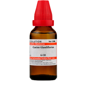 https://cdn.shopify.com/s/files/1/1857/6931/products/Dr.WillmarSchwabeIndiaCactusGrandiflorusDilution7.png?v=1621672888