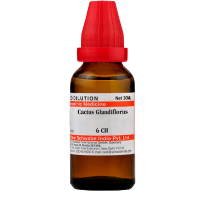 https://cdn.shopify.com/s/files/1/1857/6931/products/Dr.WillmarSchwabeIndiaCactusGrandiflorusDilution7.png?v=1621672888