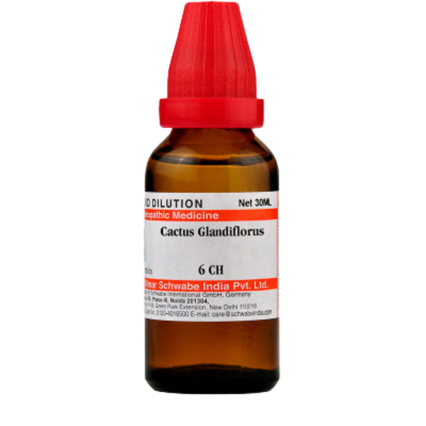 https://cdn.shopify.com/s/files/1/1857/6931/products/Dr.WillmarSchwabeIndiaCactusGrandiflorusDilution7.png?v=1621672888