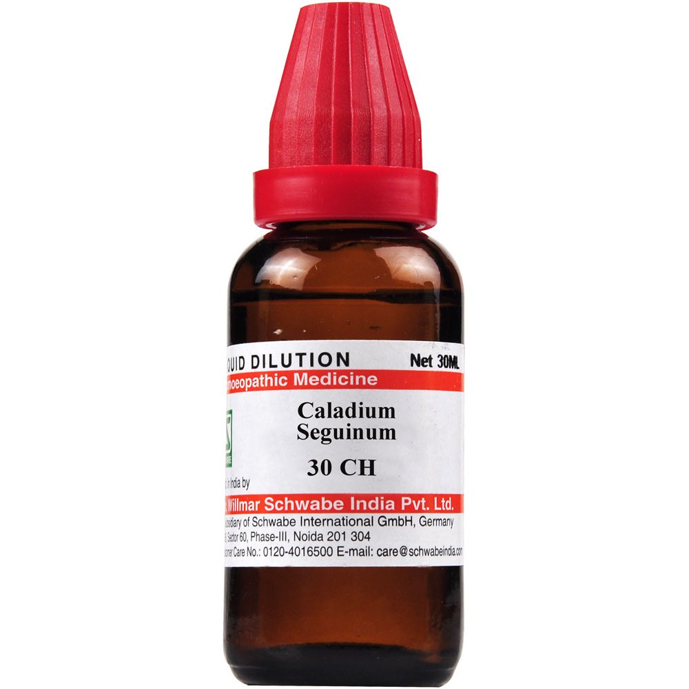 Image 1 of 30 CH / 30 ml for the product Dr. Willmar Schwabe India Caladium Seguinum Dilution