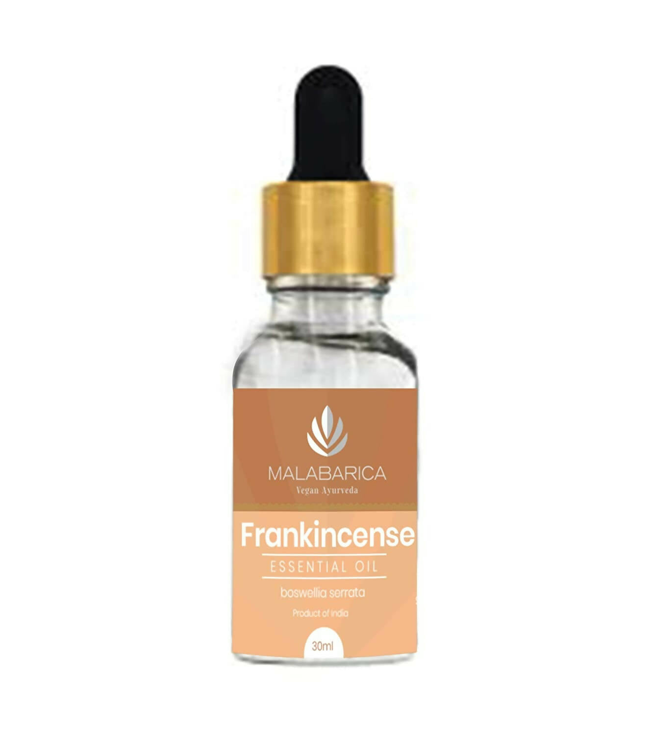 https://cdn.shopify.com/s/files/1/1857/6931/products/Drgn7qwPOX.jpg?v=1667803753