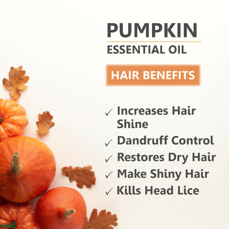 https://cdn.shopify.com/s/files/1/1857/6931/files/DsoD3fJduW.jpg?v=1731582409