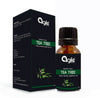 https://cdn.shopify.com/s/files/1/1857/6931/files/Dt9bzICKmh-328150.jpg?v=1736144035