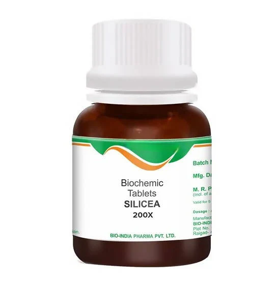 https://cdn.shopify.com/s/files/1/1857/6931/files/DvC88BirdW_768x-Photoroom.png?v=1771929490