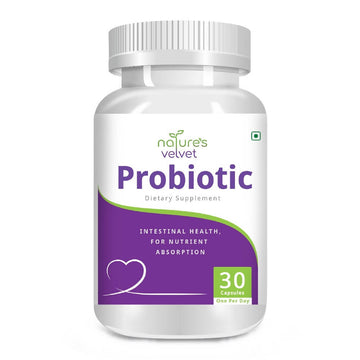 https://cdn.shopify.com/s/files/1/1857/6931/products/DyRIq1bIXo.jpg?v=1642591884