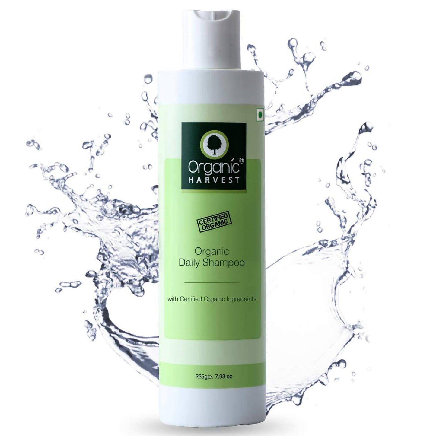 https://cdn.shopify.com/s/files/1/1857/6931/products/DzXfvrSAae.jpg?v=1617330709