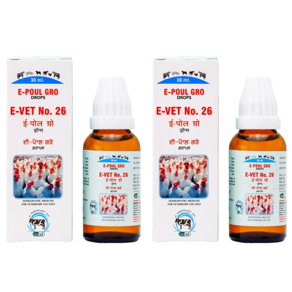 https://cdn.shopify.com/s/files/1/1857/6931/files/E-POUL_d015d2af-bf9f-49cd-85cf-b5b7bf780136.jpg?v=1756822830