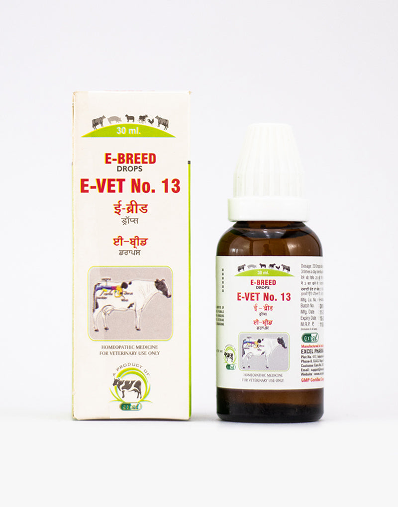 https://cdn.shopify.com/s/files/1/1857/6931/products/E-VET-13.jpg?v=1642680570