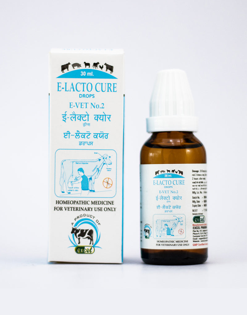 https://cdn.shopify.com/s/files/1/1857/6931/products/E-VET-2.jpg?v=1642679983