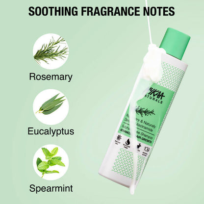 https://cdn.shopify.com/s/files/1/1857/6931/files/E0KrwoYNbj.jpg?v=1721807209