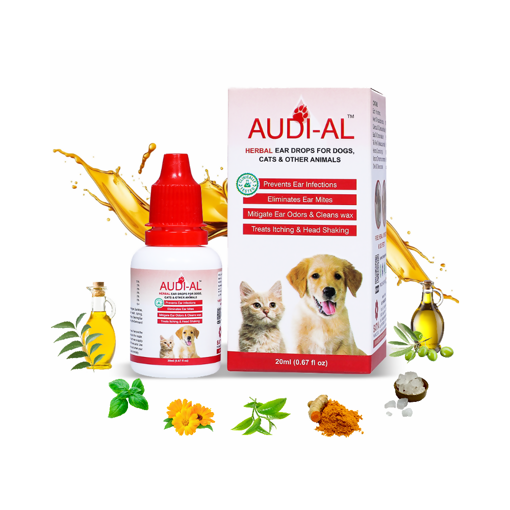 https://cdn.shopify.com/s/files/1/1857/6931/files/E3JMMR0UsH.png?v=1755062911