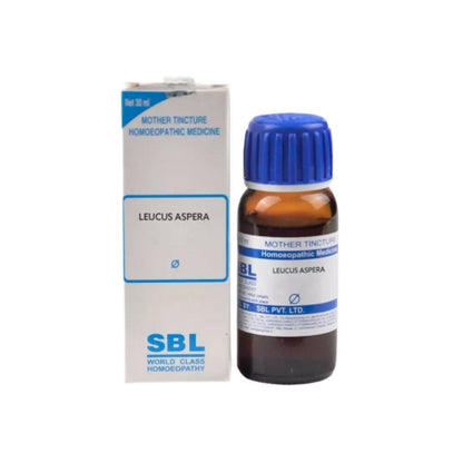 https://cdn.shopify.com/s/files/1/1857/6931/products/E4DMnHclj9.jpg?v=1677926360