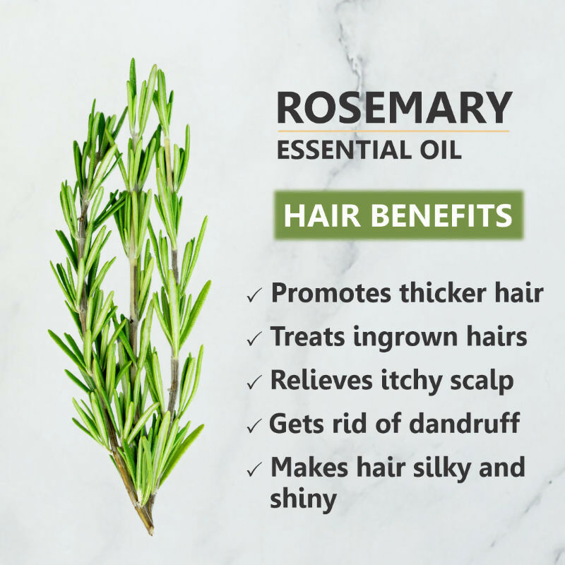 https://cdn.shopify.com/s/files/1/1857/6931/files/E4jdjQyVyp.jpg?v=1731582574