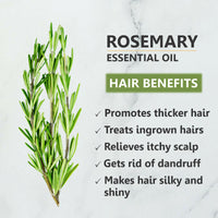 https://cdn.shopify.com/s/files/1/1857/6931/files/E4jdjQyVyp.jpg?v=1731582574