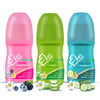 https://cdn.shopify.com/s/files/1/1857/6931/files/E5WfCHUoDi.jpg?v=1728988935