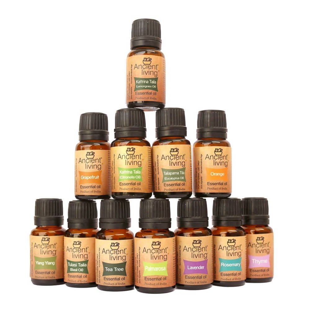 https://cdn.shopify.com/s/files/1/1857/6931/files/E5xspKIHES-250788.jpg?v=1736147408