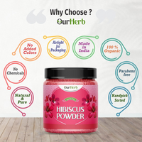 https://cdn.shopify.com/s/files/1/1857/6931/files/E8vxI0B5S9.png?v=1727524165