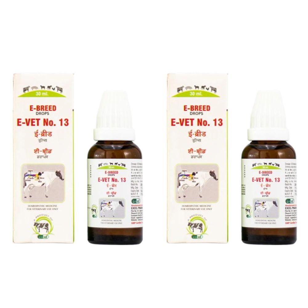 https://cdn.shopify.com/s/files/1/1857/6931/files/EBRDR13_6e26b84d-dc23-466a-9ccd-e2d4a09d1dfa.jpg?v=1756822800