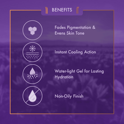 https://cdn.shopify.com/s/files/1/1857/6931/files/EBTJNsMq3L-253489.png?v=1736150939