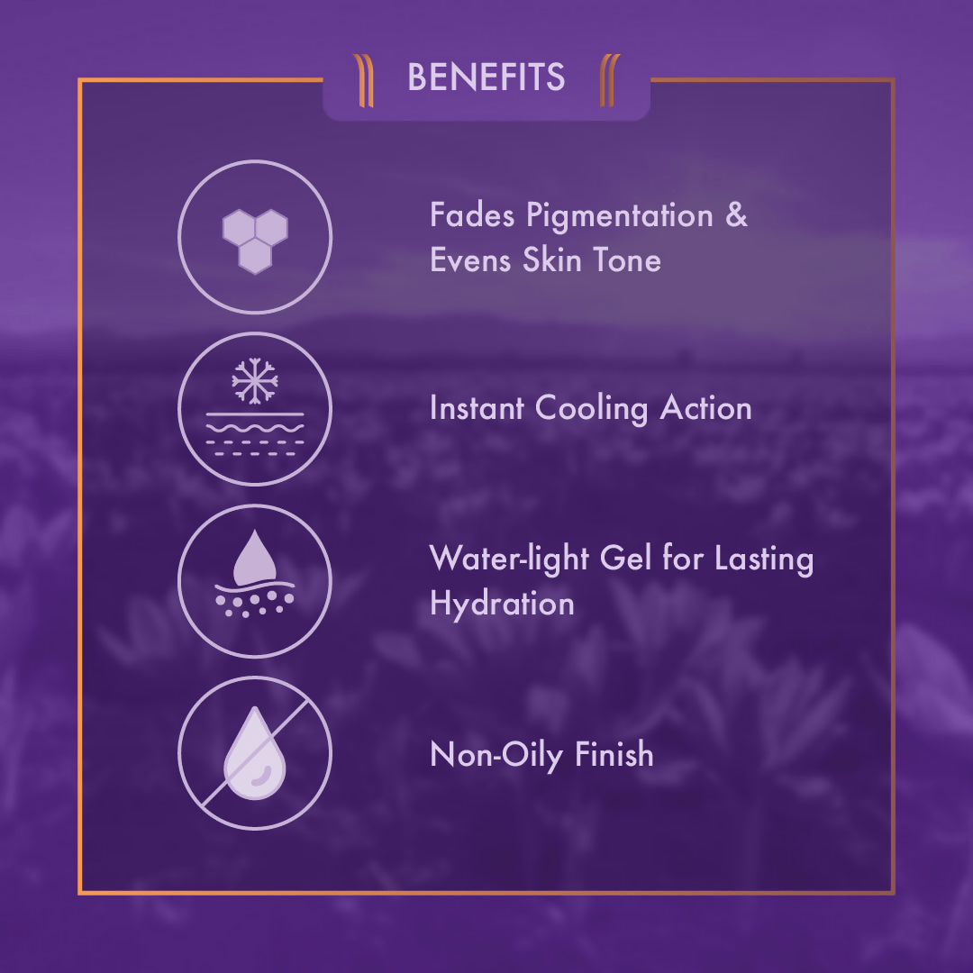 https://cdn.shopify.com/s/files/1/1857/6931/files/EBTJNsMq3L-253489.png?v=1736150939