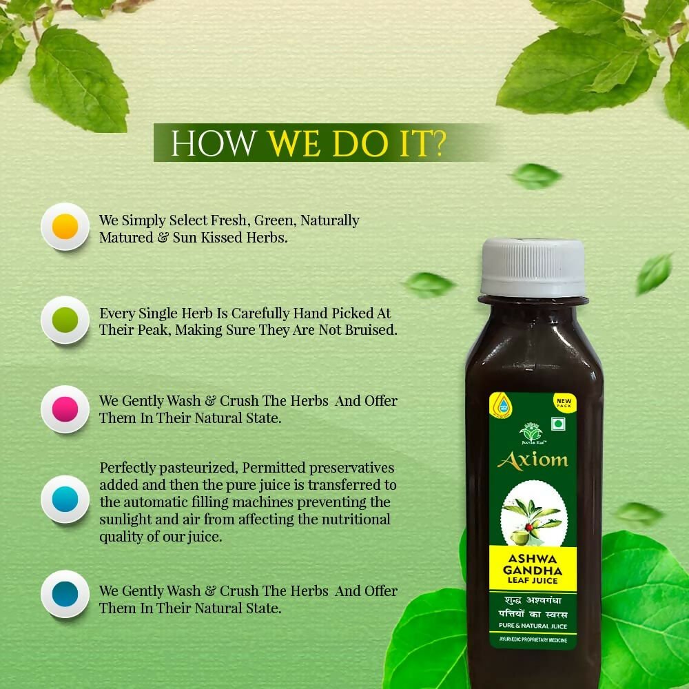 https://cdn.shopify.com/s/files/1/1857/6931/files/ECQXgLhmX1-806785.jpg?v=1736150765