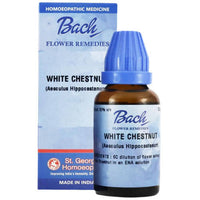https://cdn.shopify.com/s/files/1/1857/6931/products/EFcUBGeTxQ.jpg?v=1644585841
