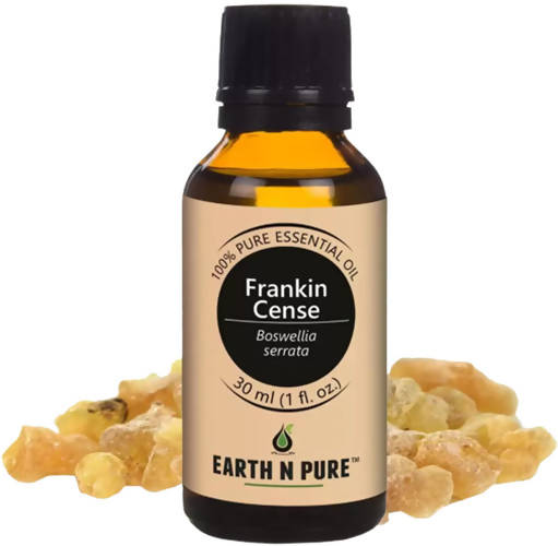 https://cdn.shopify.com/s/files/1/1857/6931/products/EFqa8uaL4R.jpg?v=1646137640
