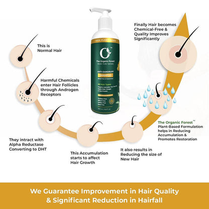 https://cdn.shopify.com/s/files/1/1857/6931/products/EGnvqqcmCp.jpg?v=1643018770