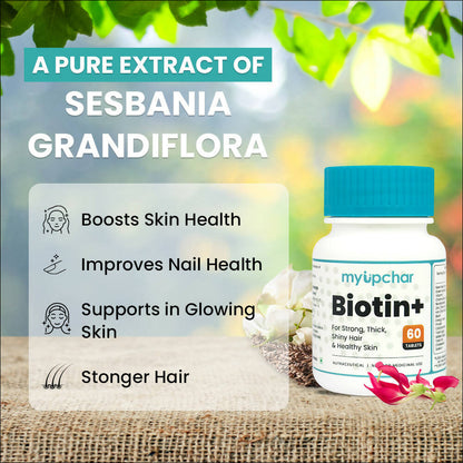 https://cdn.shopify.com/s/files/1/1857/6931/products/EKCR6nsWNk.jpg?v=1700719198