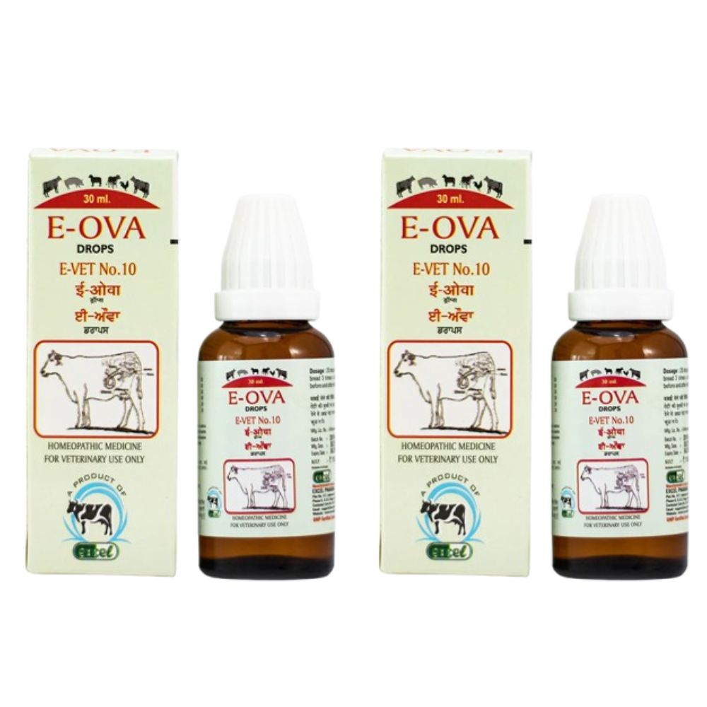 https://cdn.shopify.com/s/files/1/1857/6931/files/EOVDR10_fb0f605a-b321-45e5-8aa1-ec9e8444f737.jpg?v=1756822823