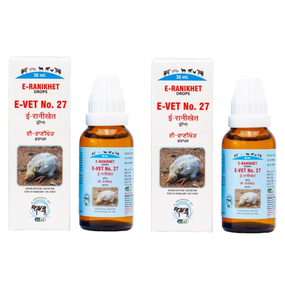 https://cdn.shopify.com/s/files/1/1857/6931/files/ERANIKHET_c9b8f76d-8995-404e-89d4-b96e8b94dc78.jpg?v=1756822843