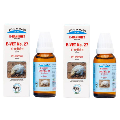 https://cdn.shopify.com/s/files/1/1857/6931/files/ERANIKHET_c9b8f76d-8995-404e-89d4-b96e8b94dc78.jpg?v=1756822843